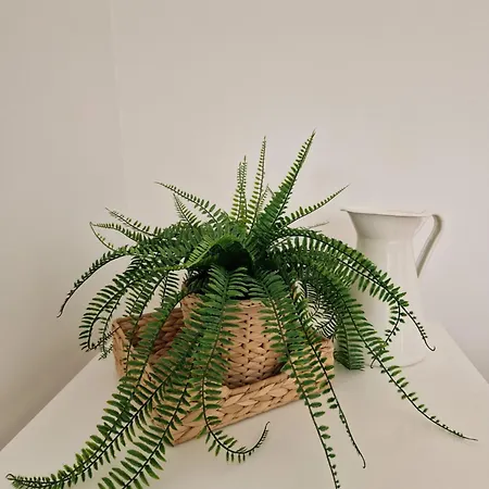 La Iodee - 50 M Du Bord De 度假居 龙斯莱班