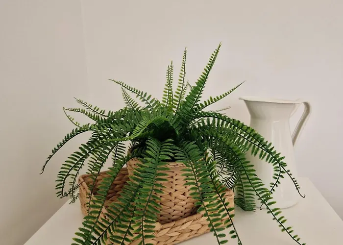 La Iodée - 50 M Du Bord De Сasa de vacaciones Ronce-les-Bains