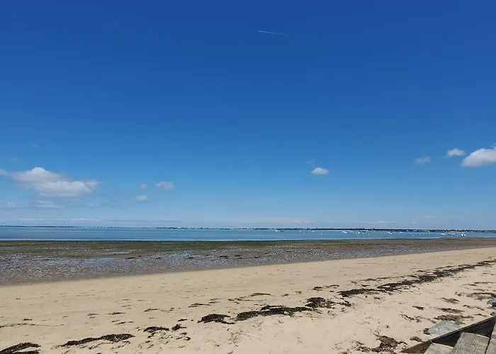 La Iodée - 50 M Du Bord De Ronce-les-Bains